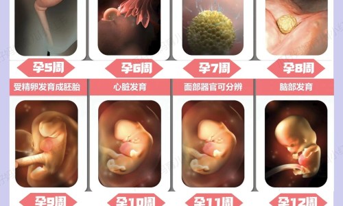 怀孕四个月还能打胎吗-怀孕四个月胖几斤网 :分享怀孕四个月左下腹隐隐疼-怀孕四个月打胎对身体伤害大吗知识